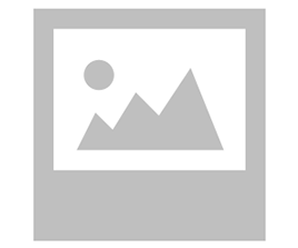 Appetizers French Fries